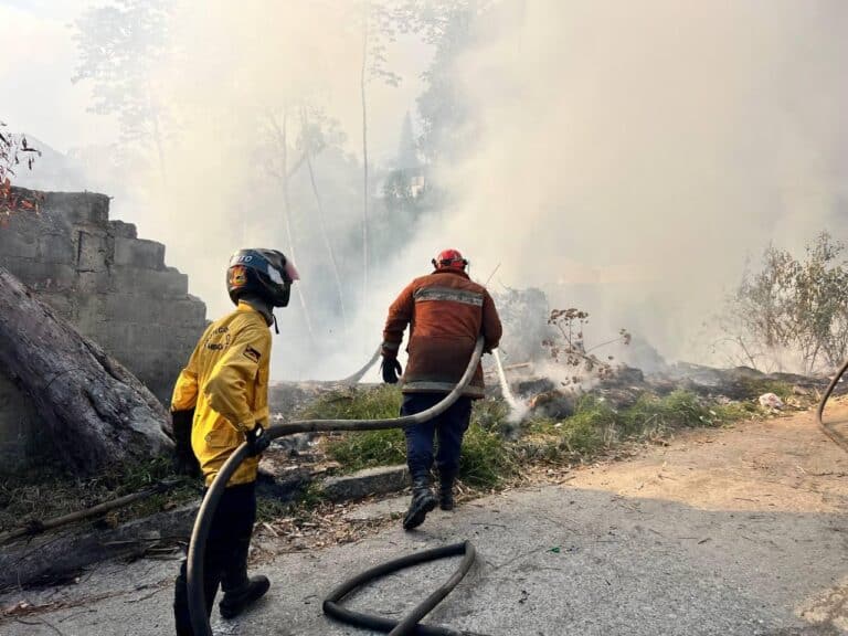 PC El Hatillo extinguió 63 incendios forestales en los primeros 106 días del 2024